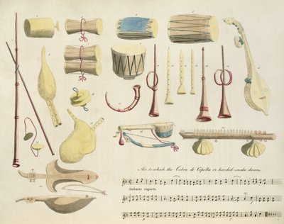 Strumenti musicali indiani, tavola 23 da 
